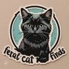 feralcatfinds